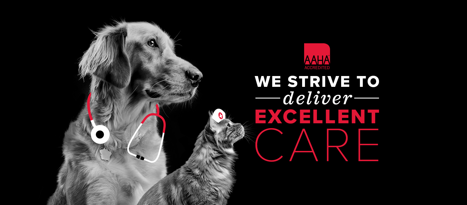 Doctor dog and nurse cat looking at the AAHA logo and text on black background that says "we strive to deliver excellent care"