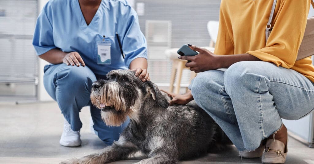 female vet kneeling beside dog and owner during appointment