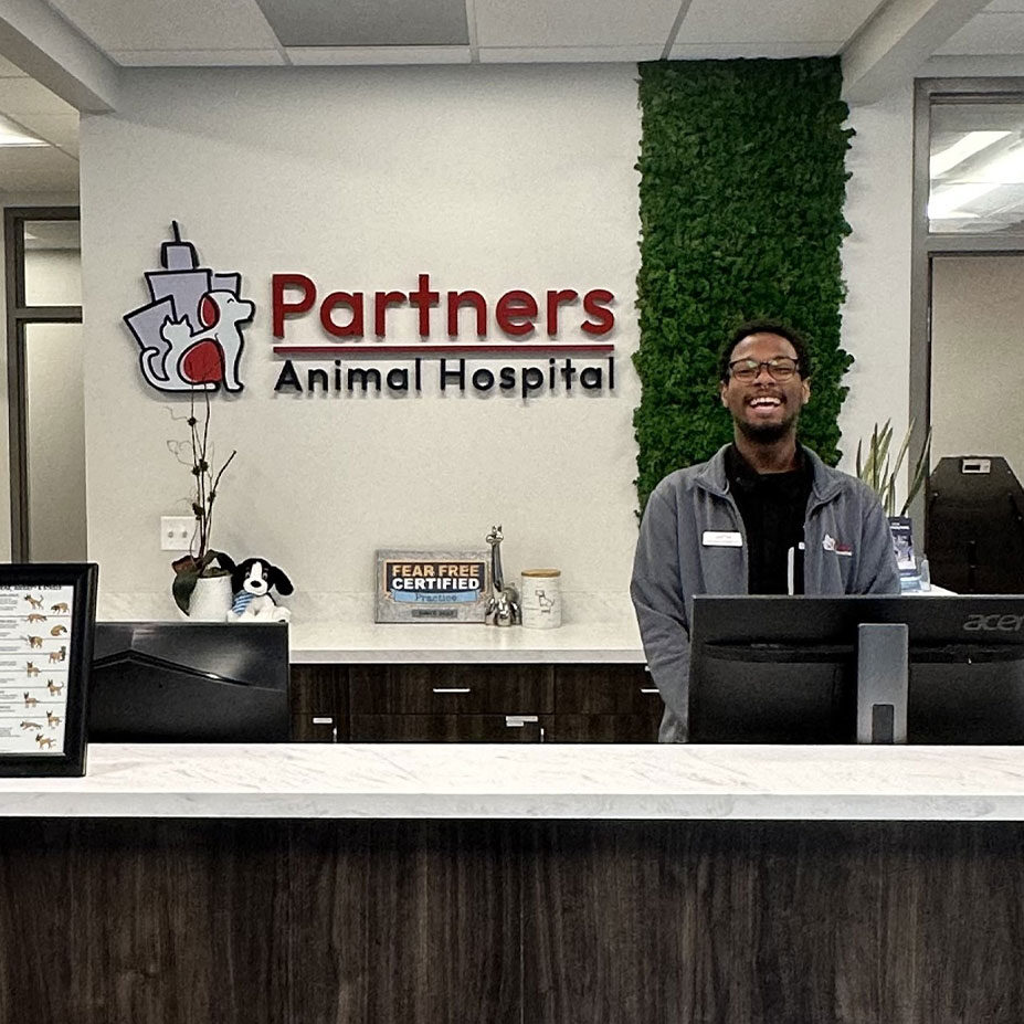 Front Desk Staff Smile Front Desk Staff Smile
